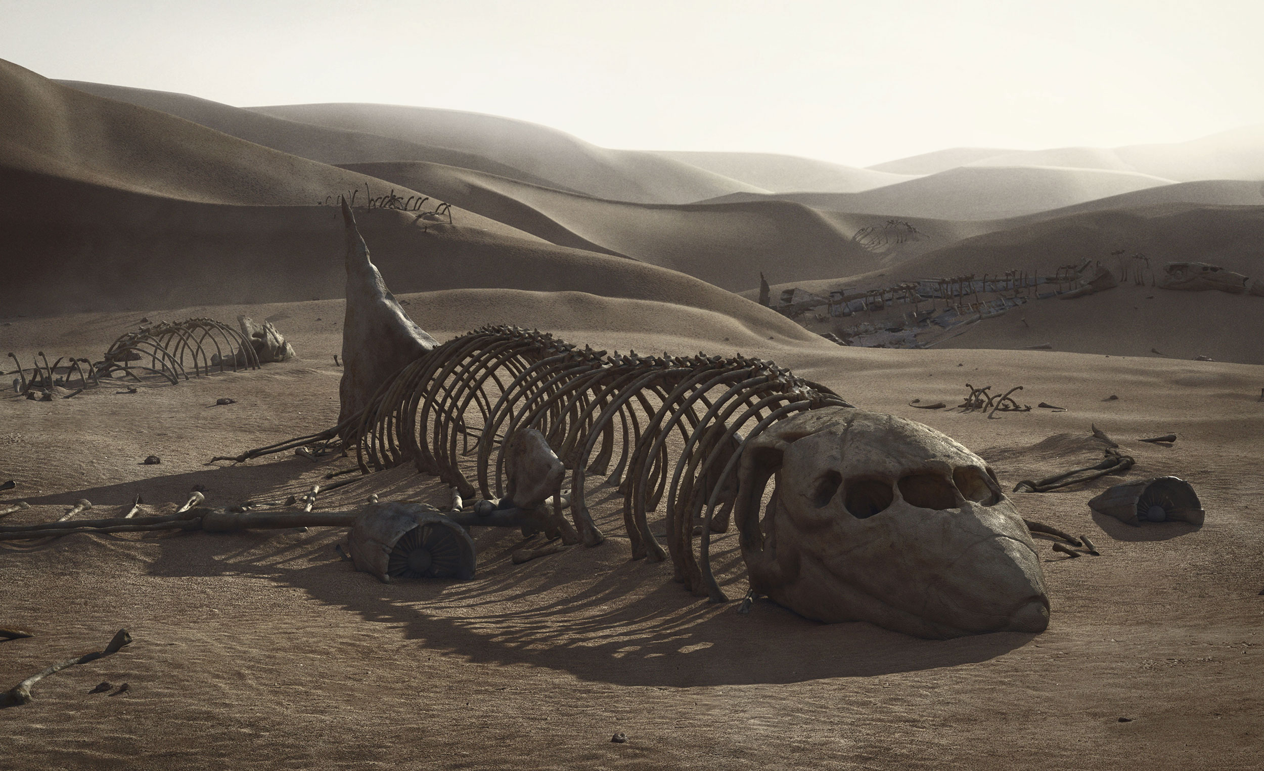 Скелеты сахары. Инопланетные животные. Остатки цивилизации. Инопланетная пустыня.